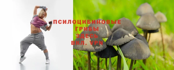 синтетический гашиш Белокуриха