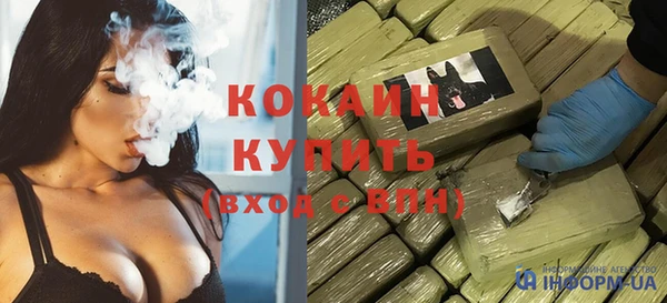 гашик Дедовск